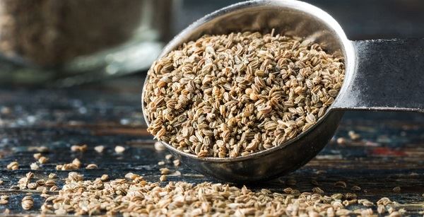 Celery Seed Extract Powder Celery Seed Extract Powder