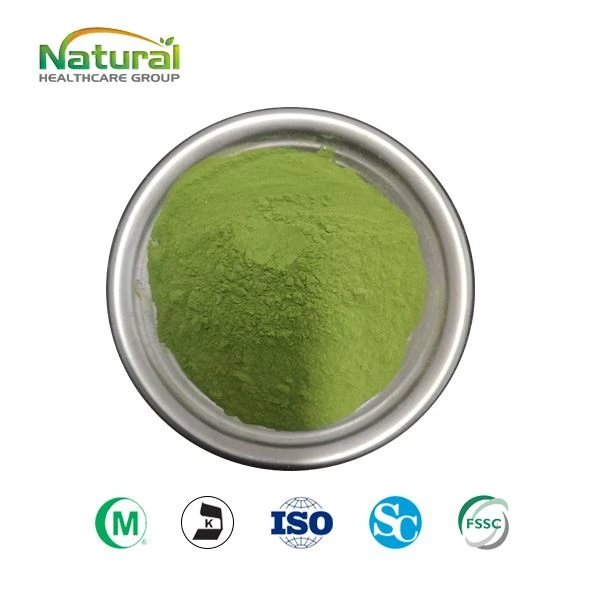Penerapan Matcha dalam produk perawatan kulit