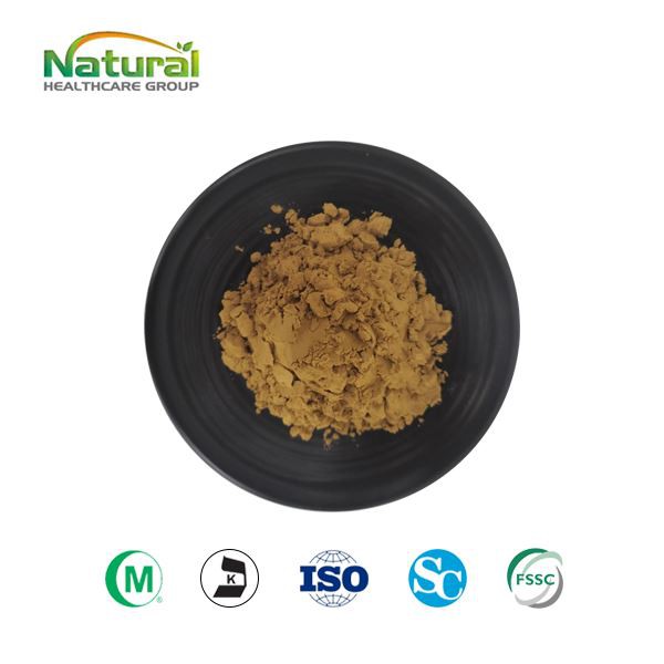 Bubuk Ekstrak Bacopa Monnieri