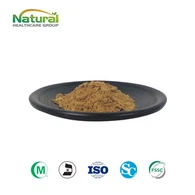 Bubuk Ekstrak Cissus Quadrangularis