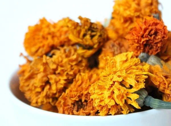4 Metode Ekstraksi Bubuk Lutein dari Marigold II.
