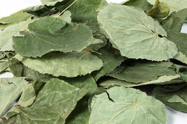 Mengapa Bubuk Icariin Dari Daun Epimedium?