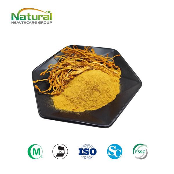 Cordyceps Sinensis Powder
