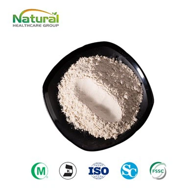 Bubuk Beras Merah Berkecambah