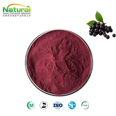 Bubuk Jus Elderberry