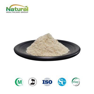 Protein Biji Bunga Matahari Organik